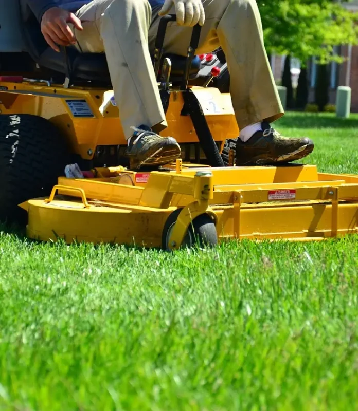 lawn care, lawn maintenance, lawn services